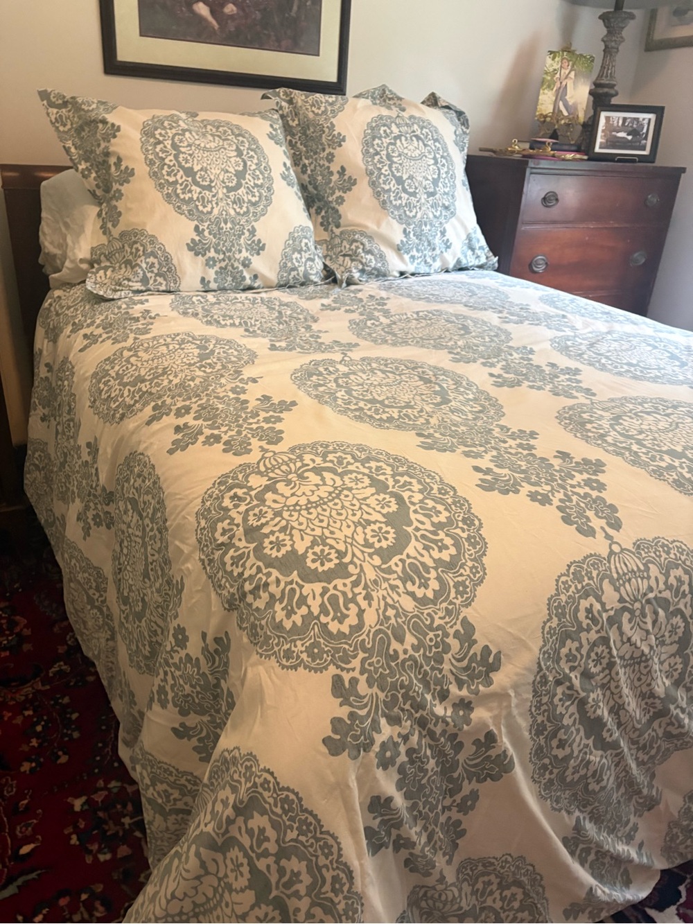 Pottery Barn lucianna queen Duvet Cover and 2 euro shams